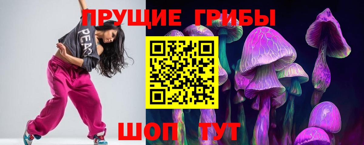 Псилоцибиновые грибы мицелий  Псилоцибиновые грибы прущие грибы  Иркутск  купить наркоту  Вход с VPN 